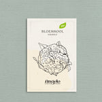 Bloemkool 'Amabile'-Angelo