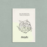Bloemkool 'Verde di Macerata'-Angelo