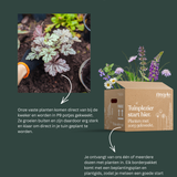 Borderpakket: zon & halfschaduw