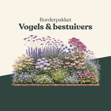 Borderpakket: vogels & bestuivers