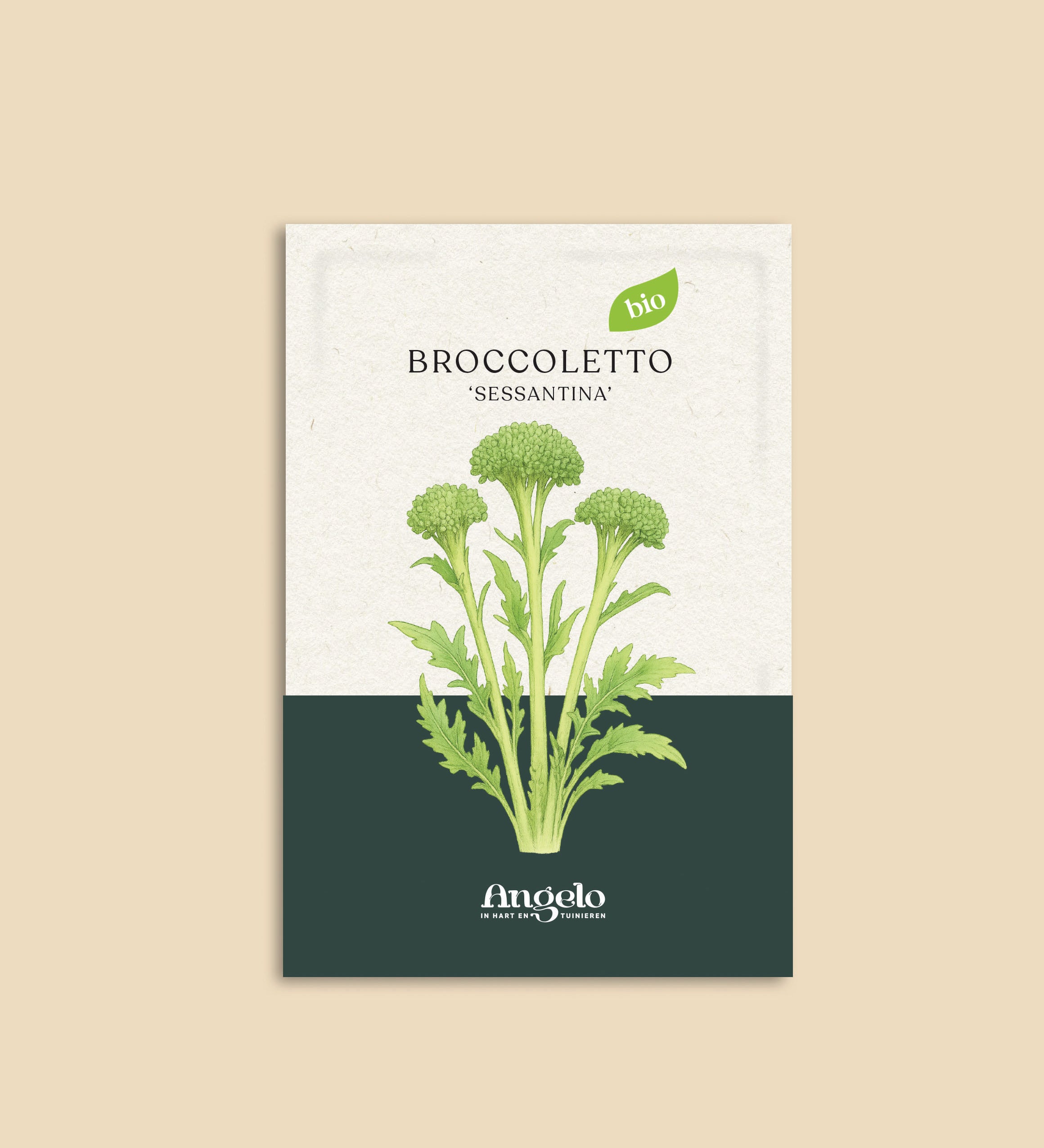 Brocoletto 'Sessantina'-Angelo