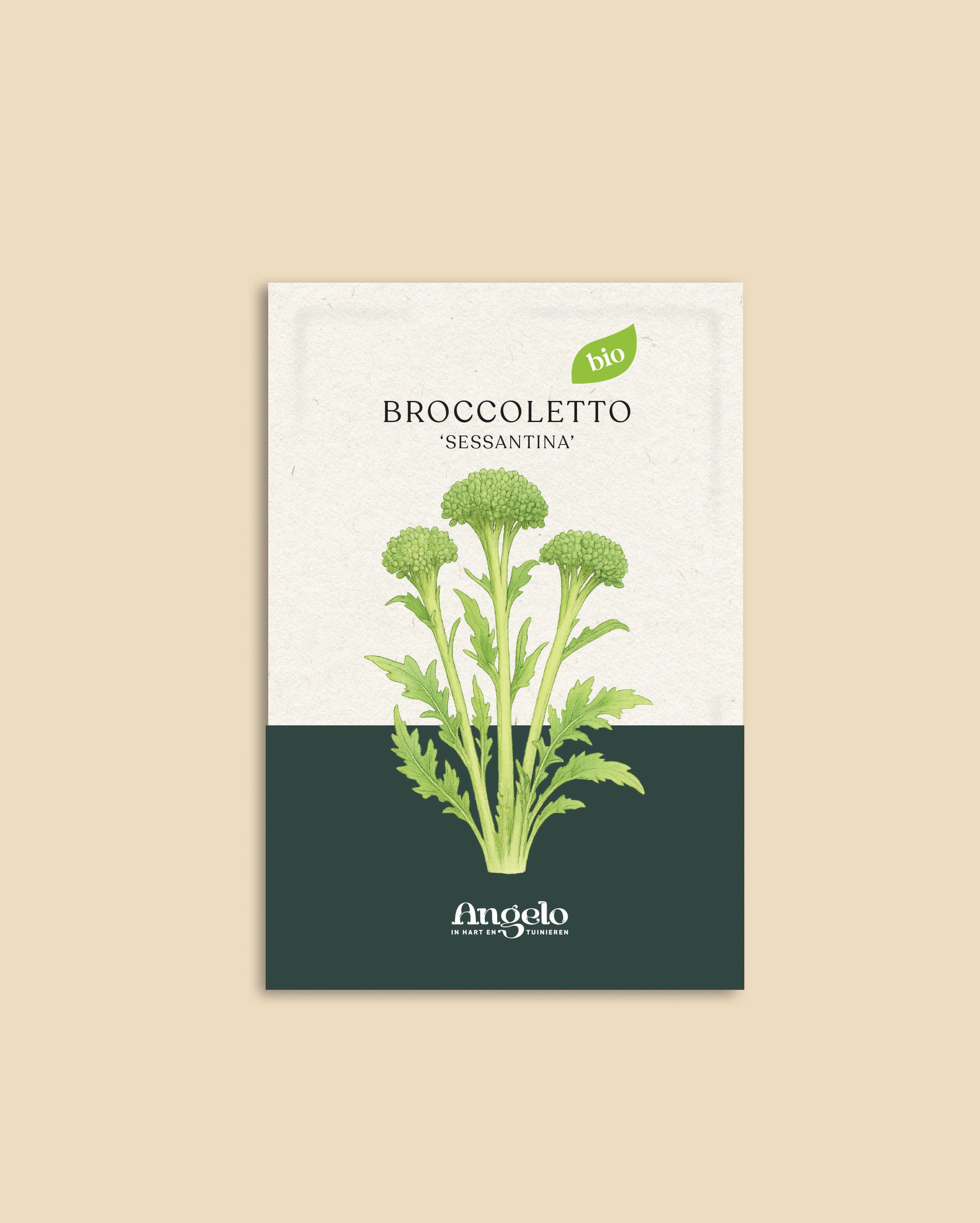 Brocoletto 'Sessantina'-Angelo
