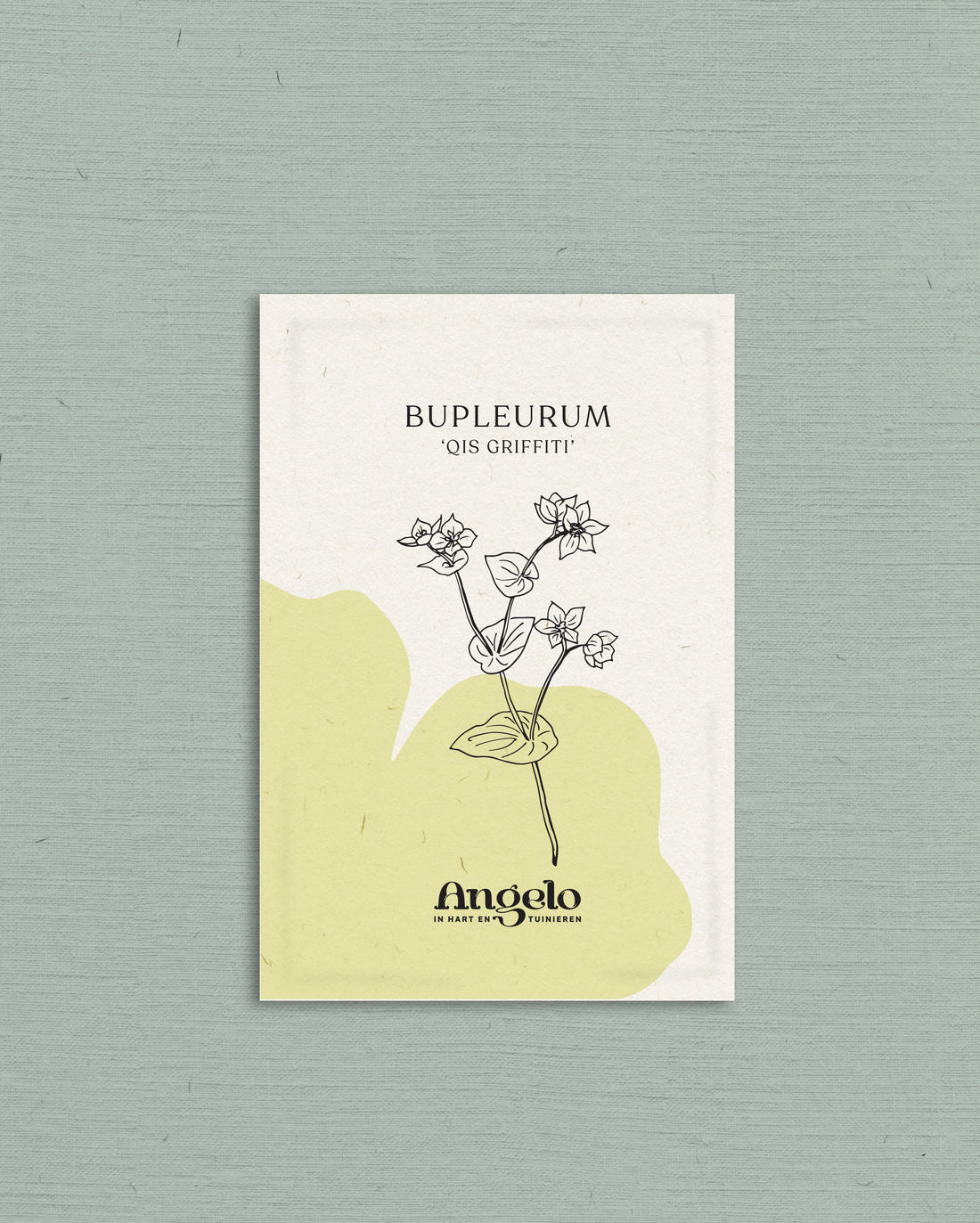Bupleurum rotundifolium &