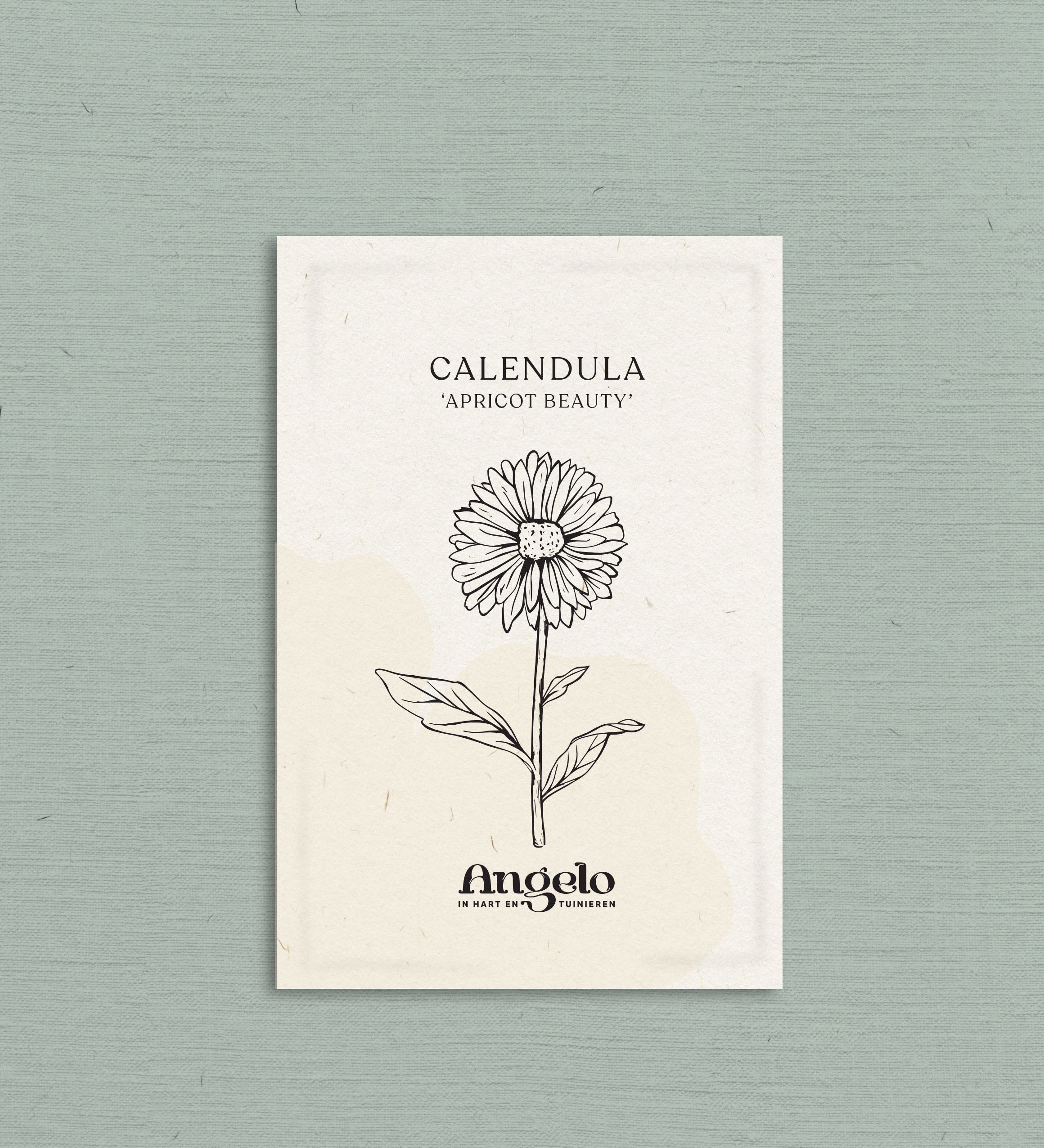 Calendula officinalis 'Apricot Beauty'-Angelo