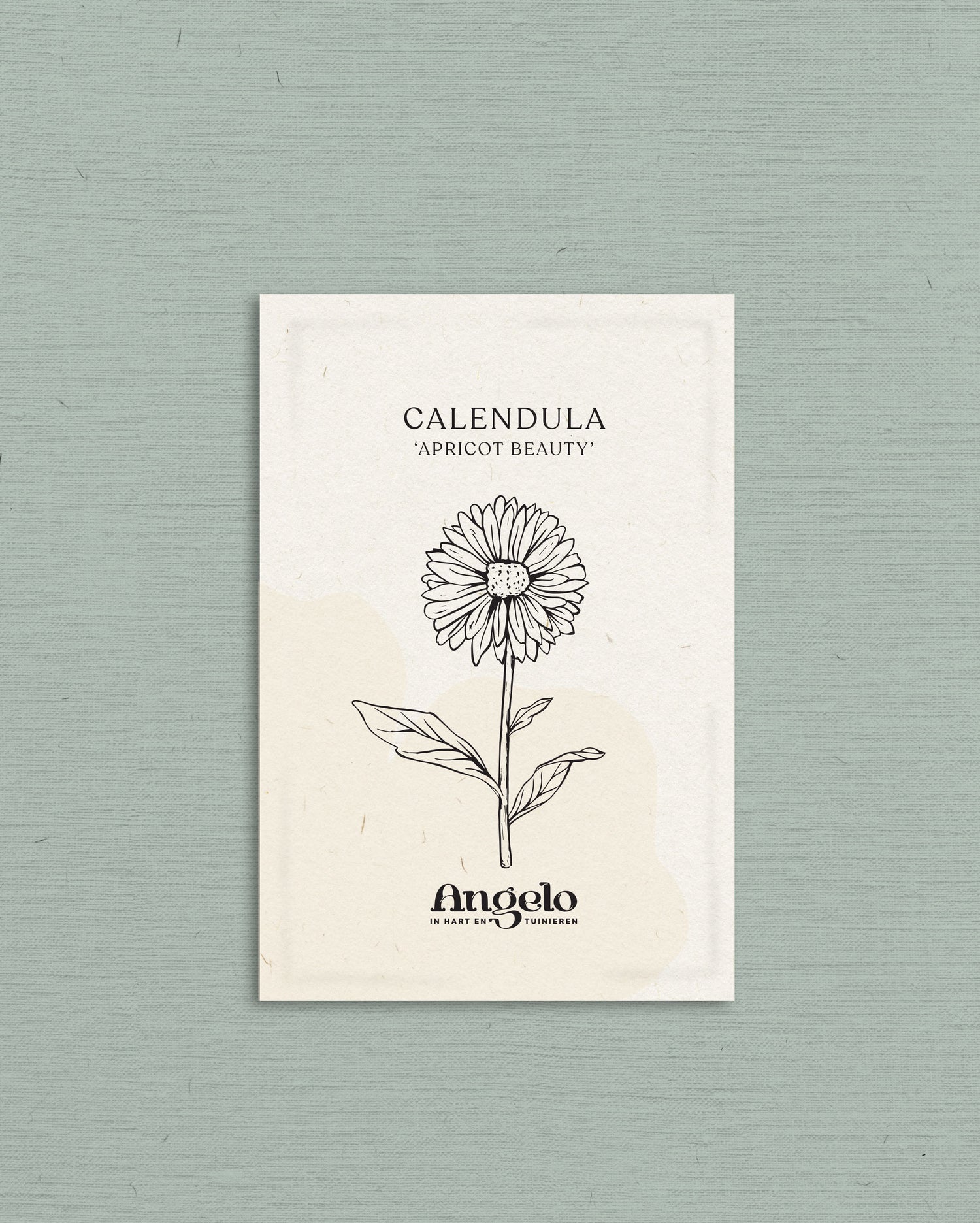 Calendula officinalis &