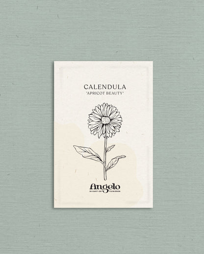 Calendula officinalis &