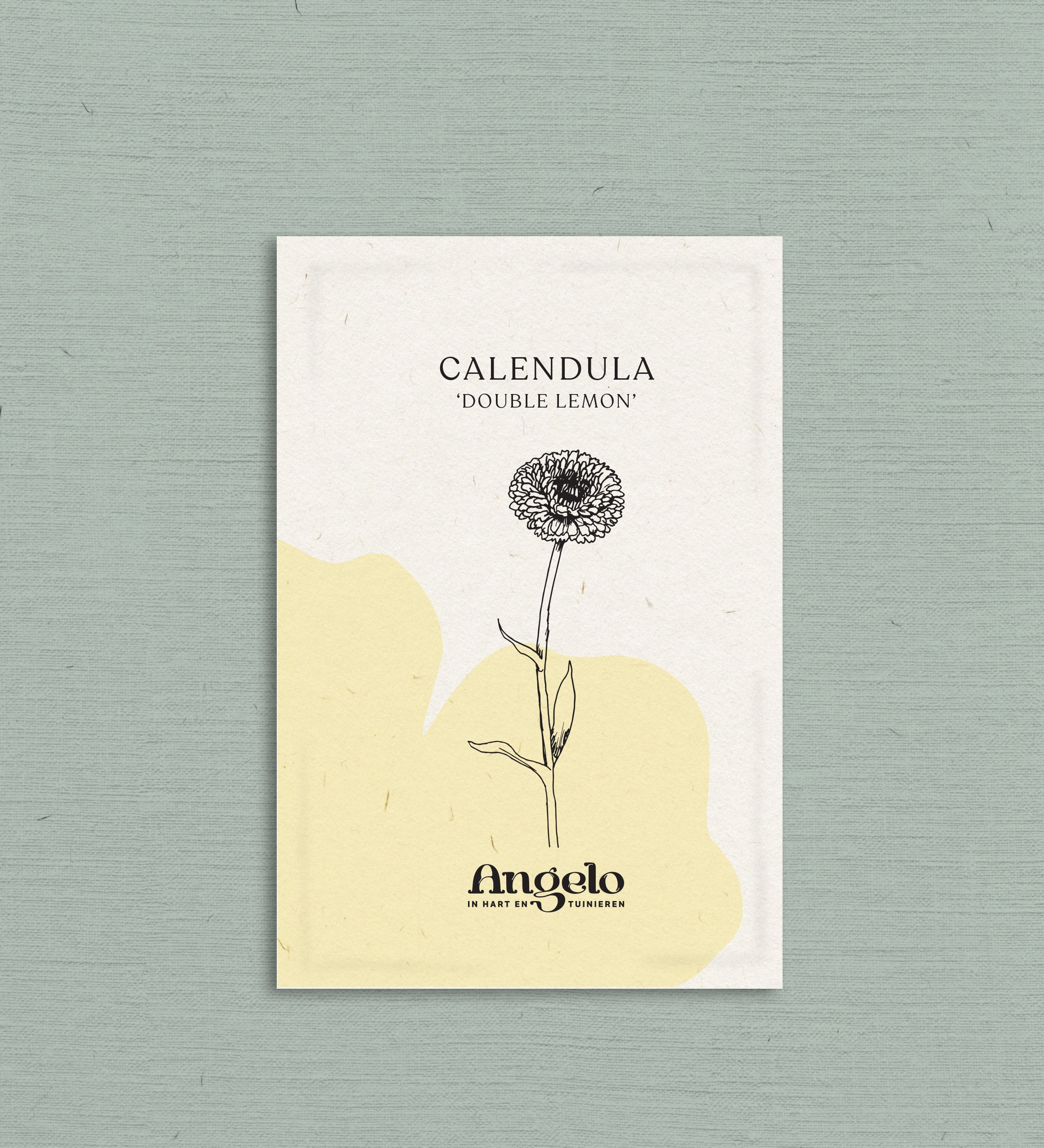 Calendula officinalis 'Double Lemon'-Angelo