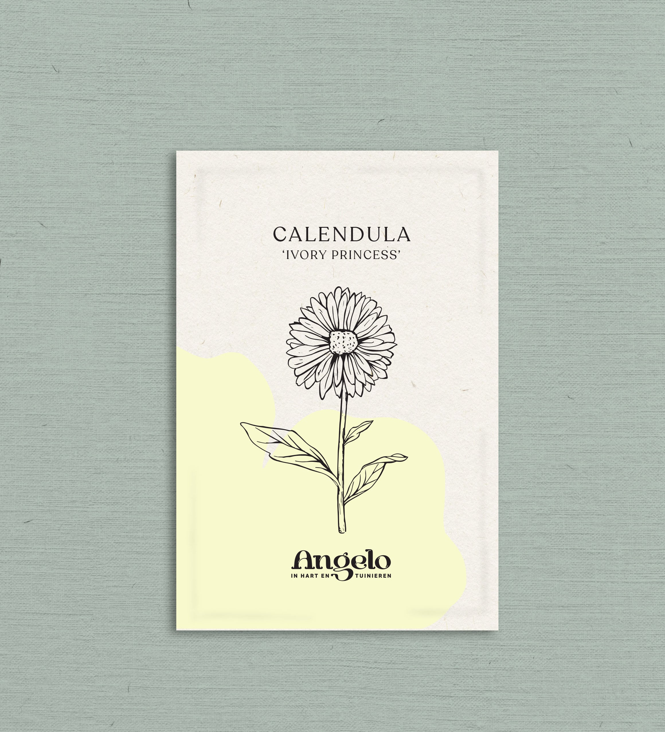 Calendula officinalis 'ivory princess'-Angelo