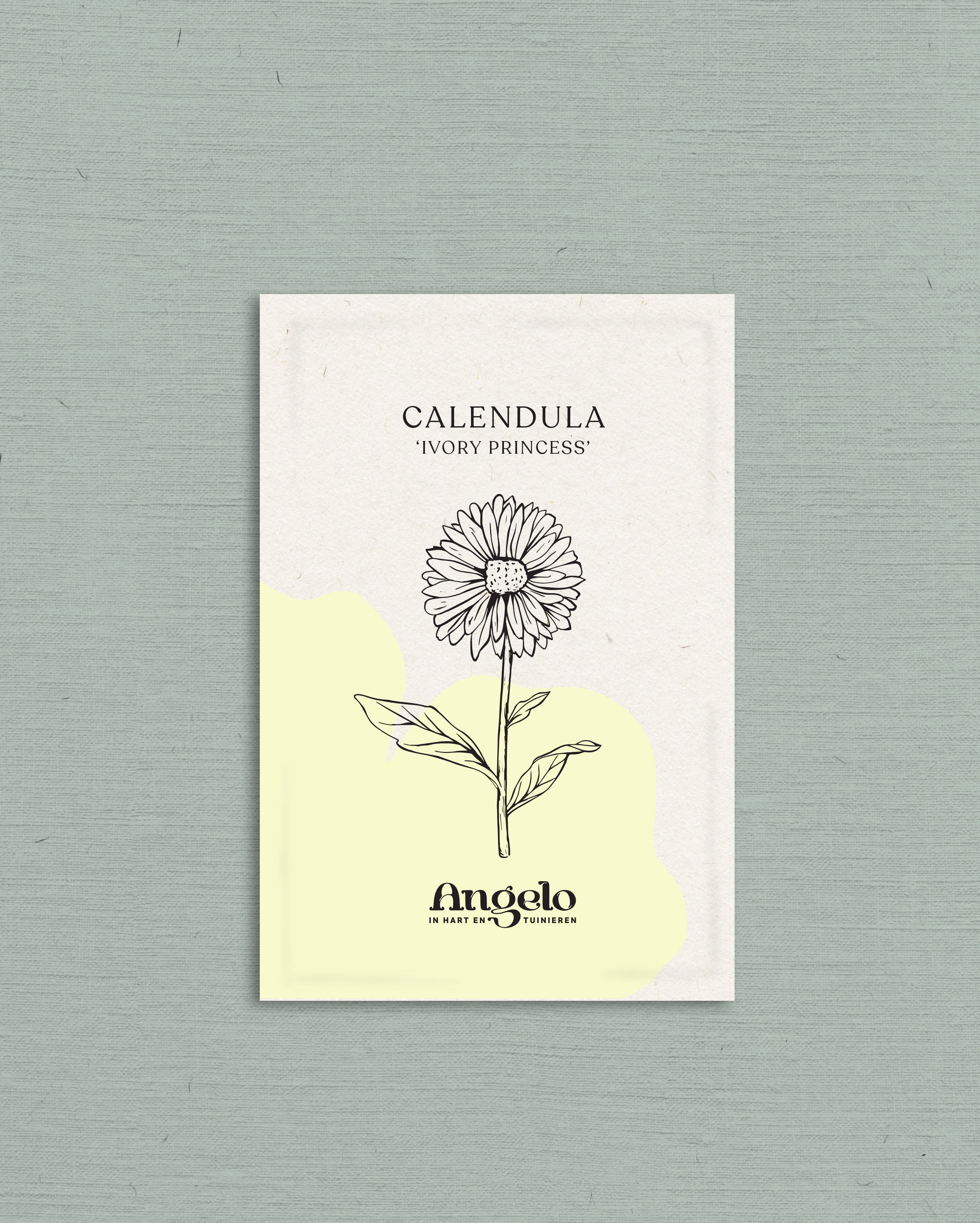 Calendula officinalis 'ivory princess'-Angelo