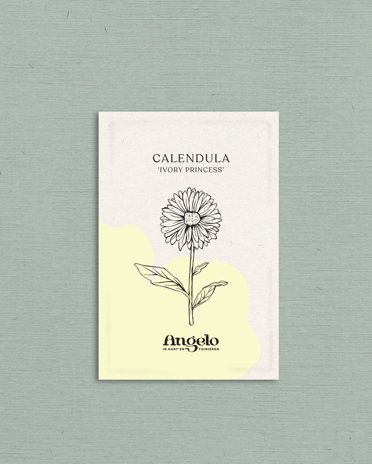 Calendula officinalis &