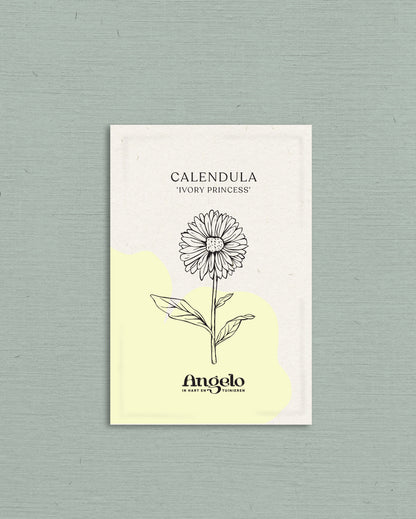 Calendula officinalis &