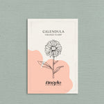 Calendula officinalis 'orange flash’-Angelo