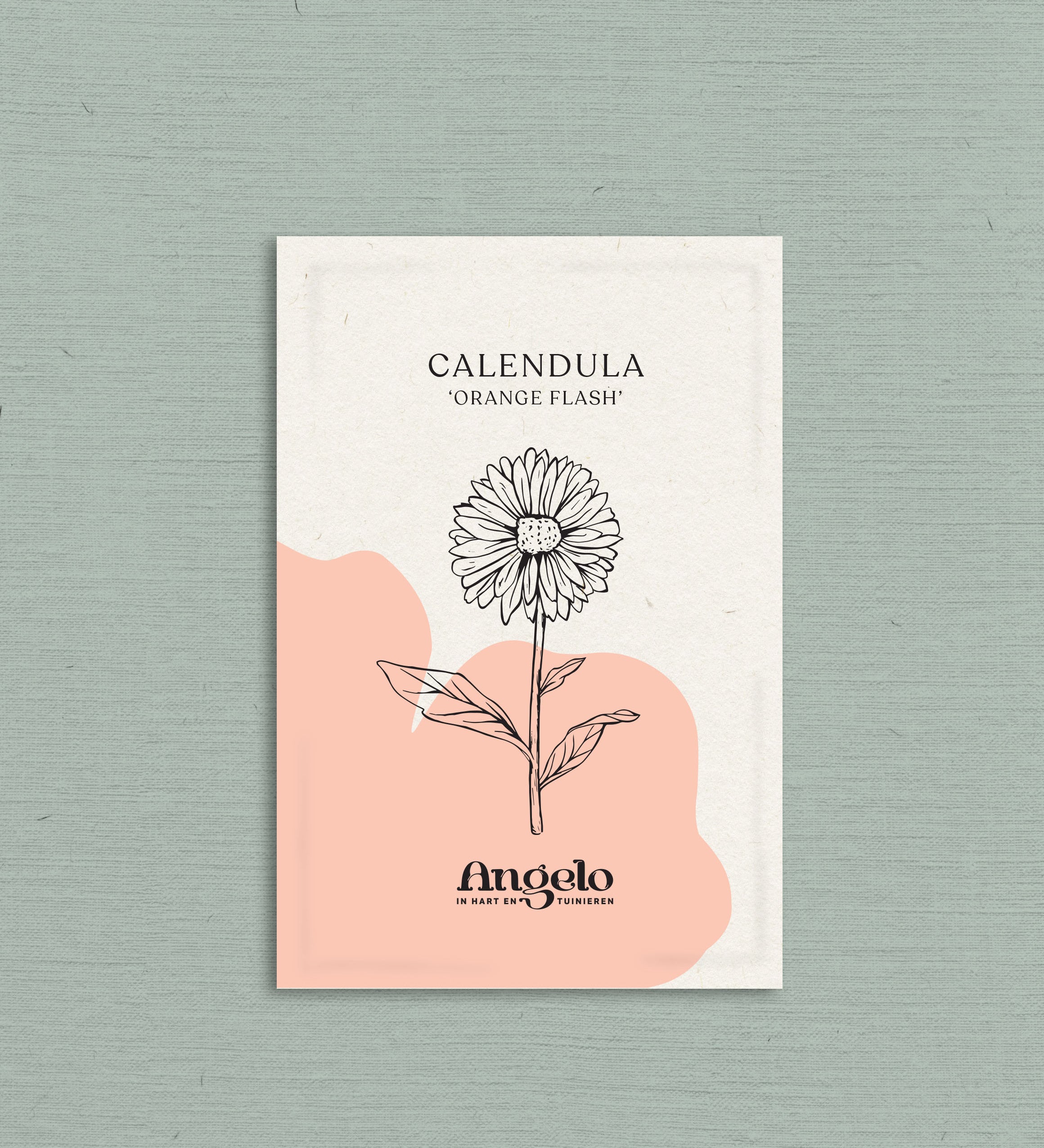 Calendula officinalis 'orange flash’-Angelo