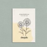 Calendula officinalis 'Playtime Mix'-Angelo