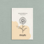 Calendula officinalis 'pygmy buff'-Angelo