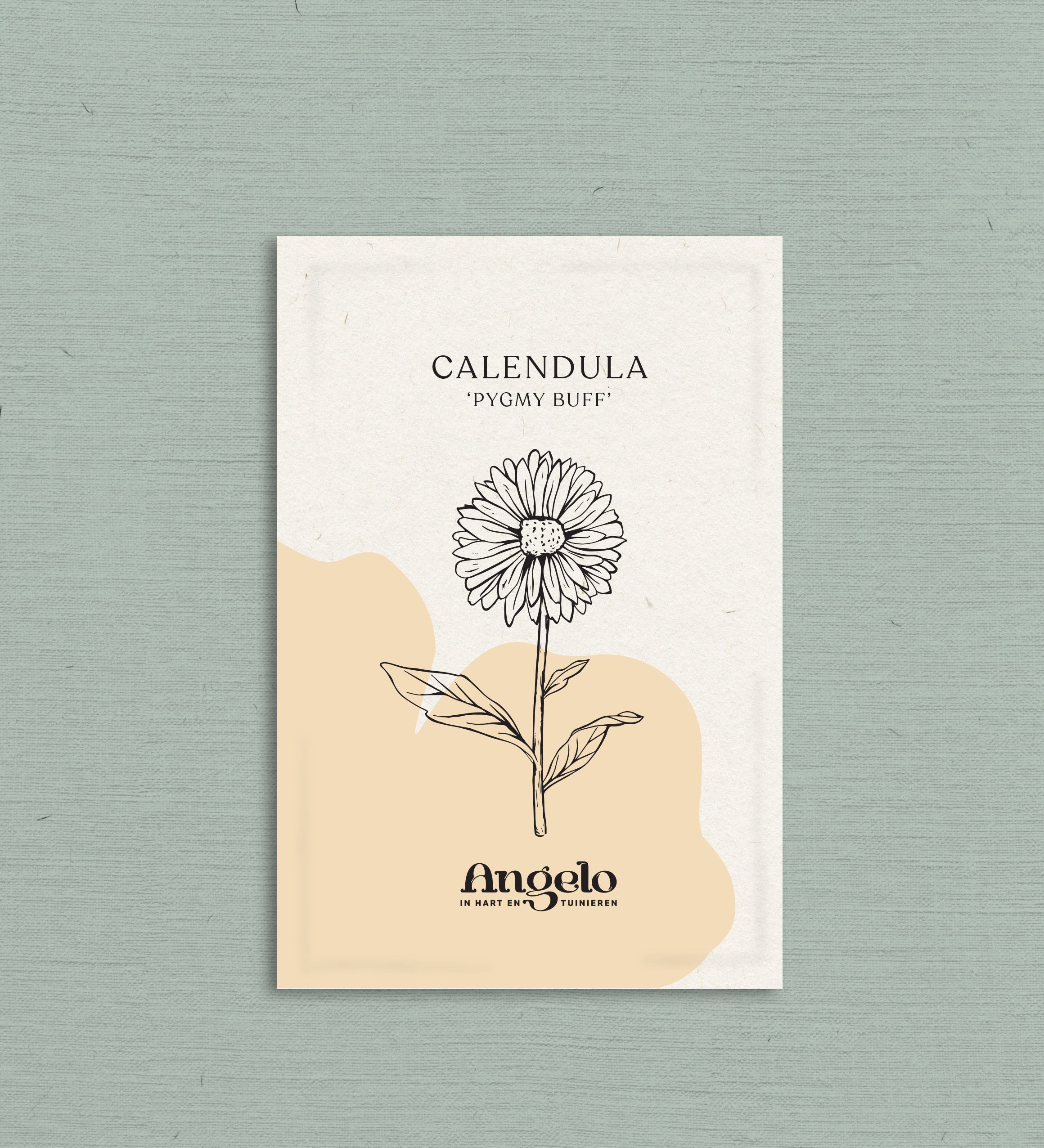 Calendula officinalis 'pygmy buff'-Angelo