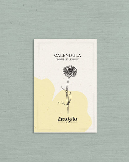 Calendula officinalis &