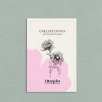 Callistephus chinensis 'matsumoto pink'-Angelo