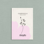 Campanula medium 'Single rose'-Angelo