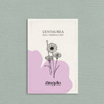 Centaurea cyanus 'ball formula mix'-Angelo