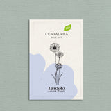 Centaurea cyanus 'blue boy'-Angelo
