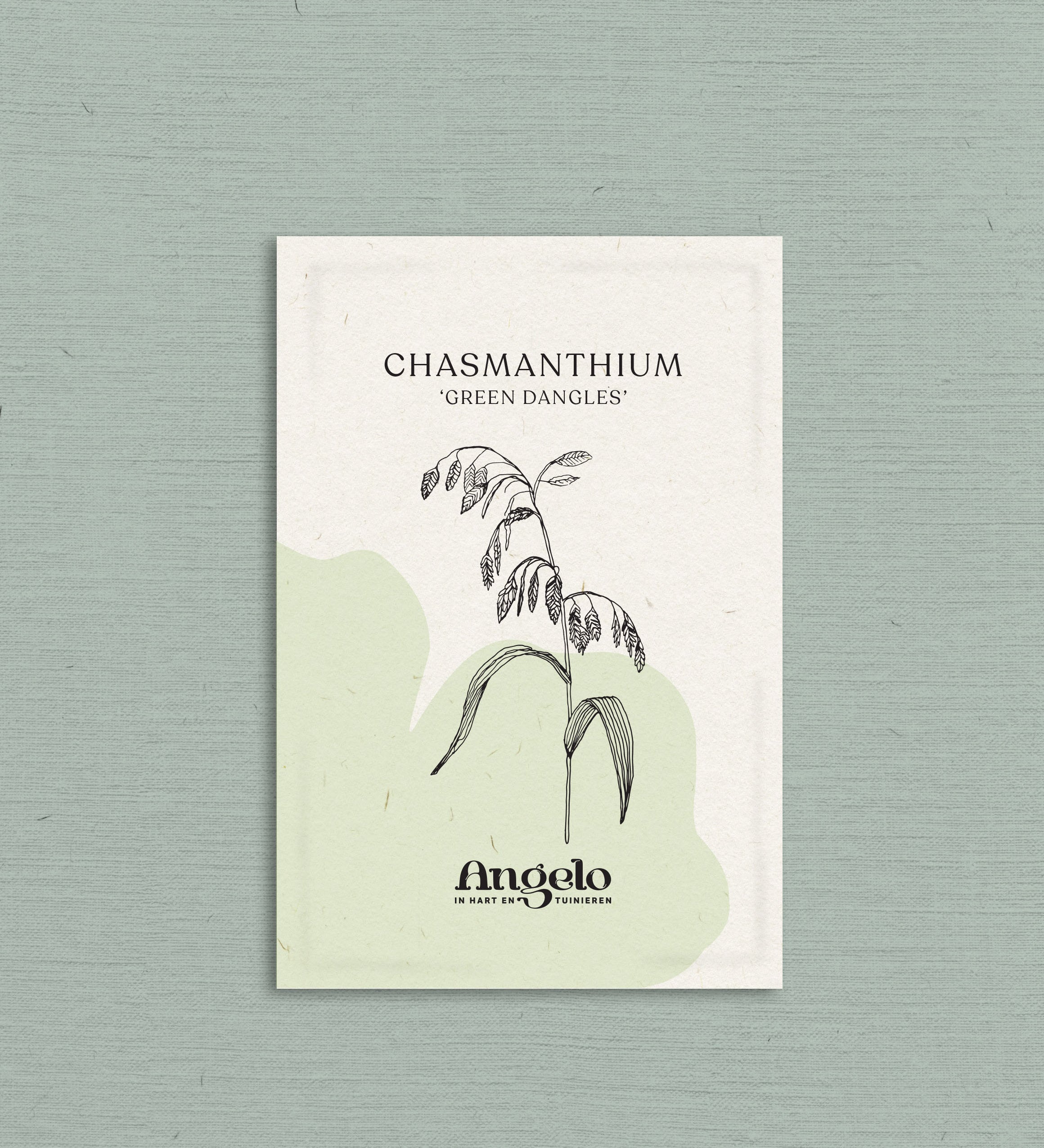 Chasmanthium latifolium 'Green Dangles'-Angelo
