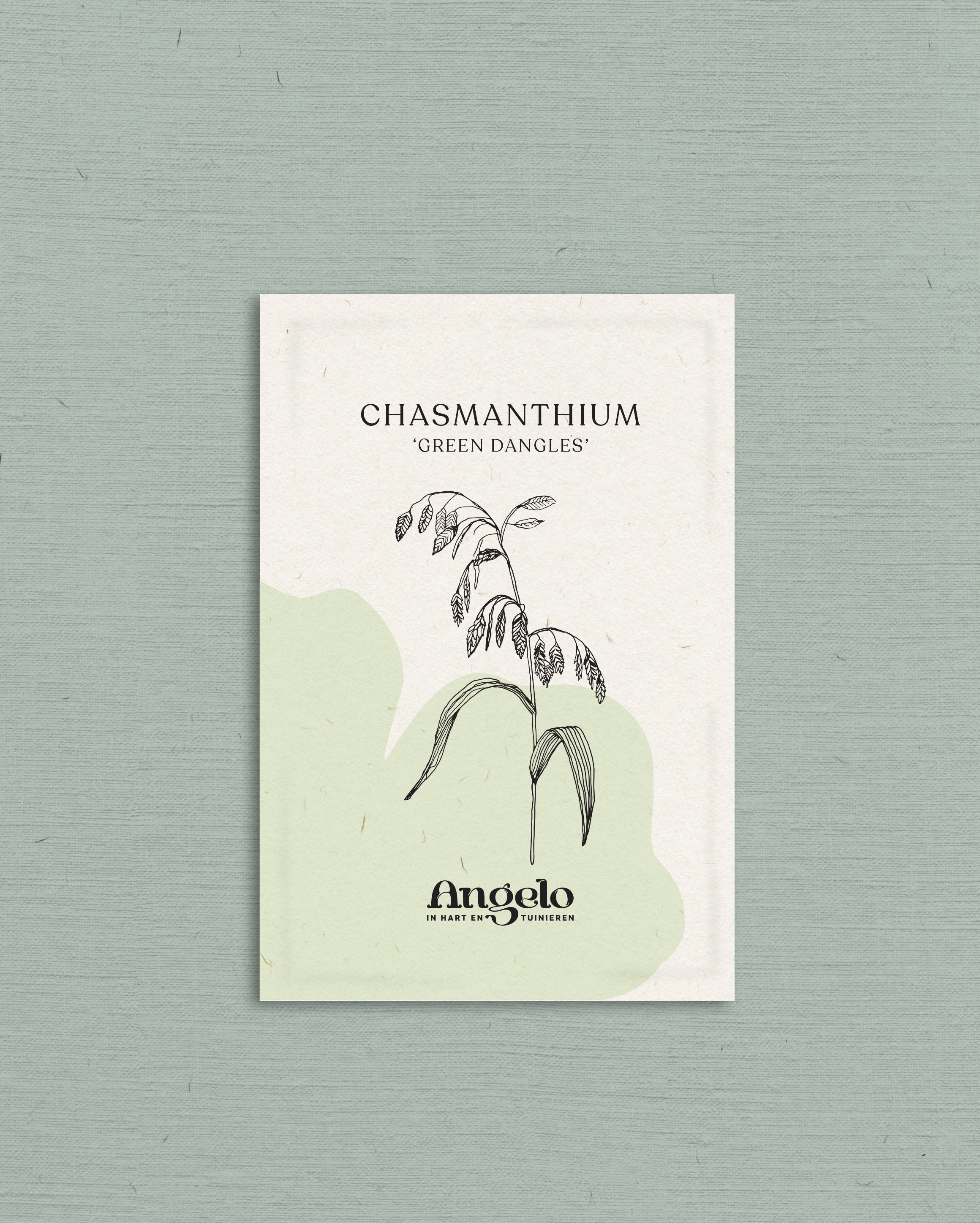Chasmanthium latifolium 'Green Dangles'-Angelo