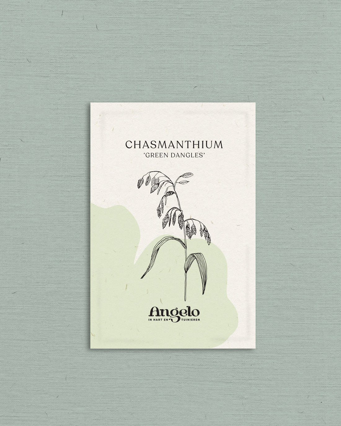 Chasmanthium latifolium &