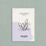 Chilipeper 'Aurora'-Angelo