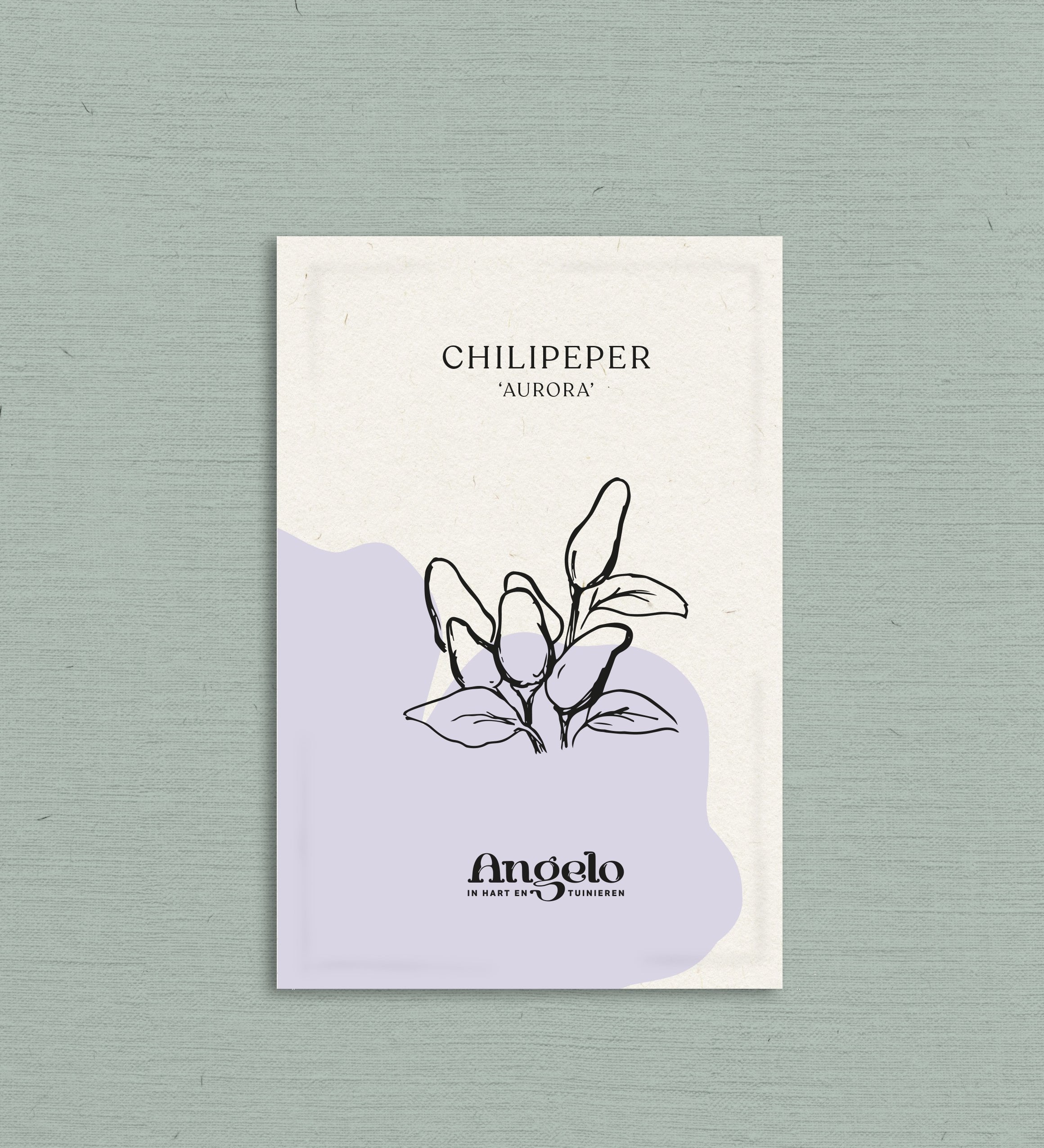 Chilipeper 'Aurora'-Angelo