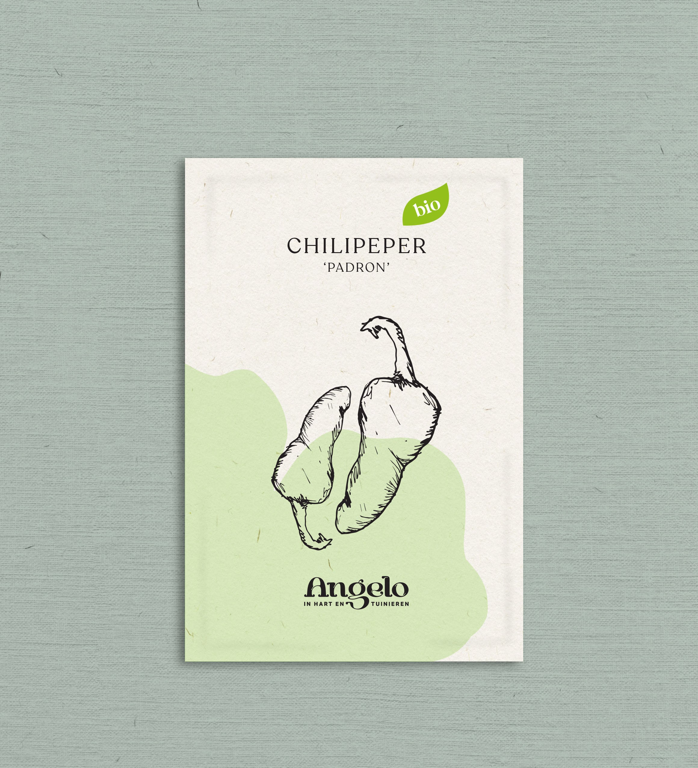 Chilipeper 'Padron'-Angelo