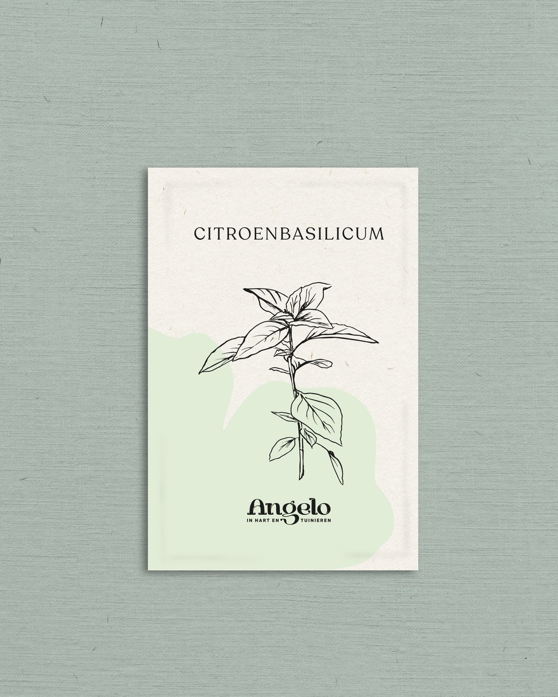 Citroenbasilicum-Angelo