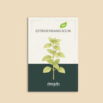 Citroenbasilicum-Angelo