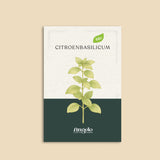 Citroenbasilicum-Angelo