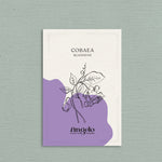 Cobaea scandens-Angelo