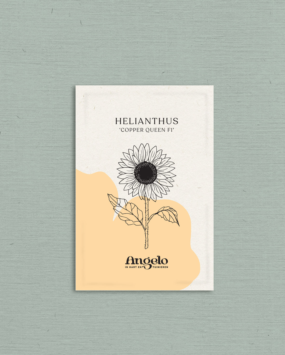 Helianthus annuus &