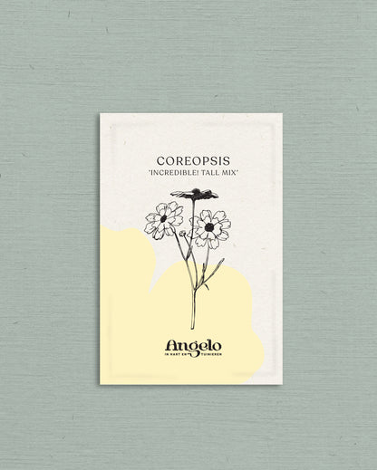 Coreopsis hybrida &