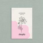 Cosmos bipinnatus 'Rosetta'-Angelo