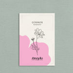 Cosmos bipinnatus 'Rubinato'-Angelo