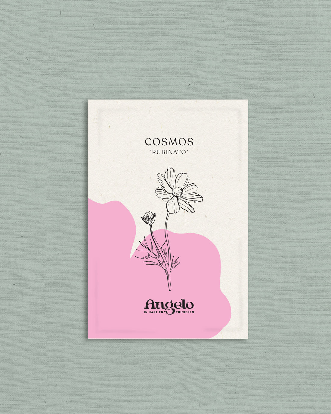 Cosmos bipinnatus &