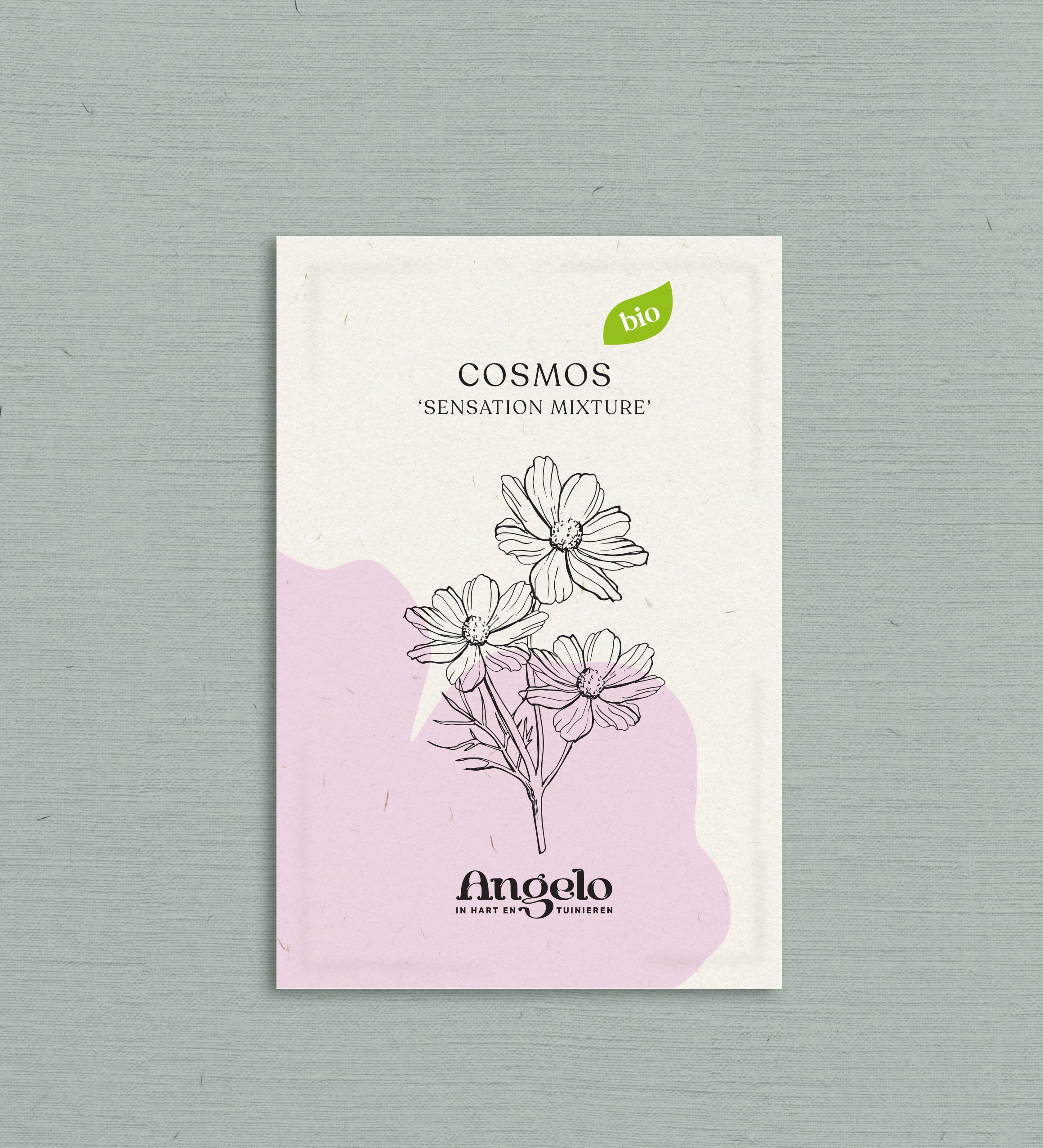 Cosmos bipinnatus 'Sensation Mixture'-Angelo