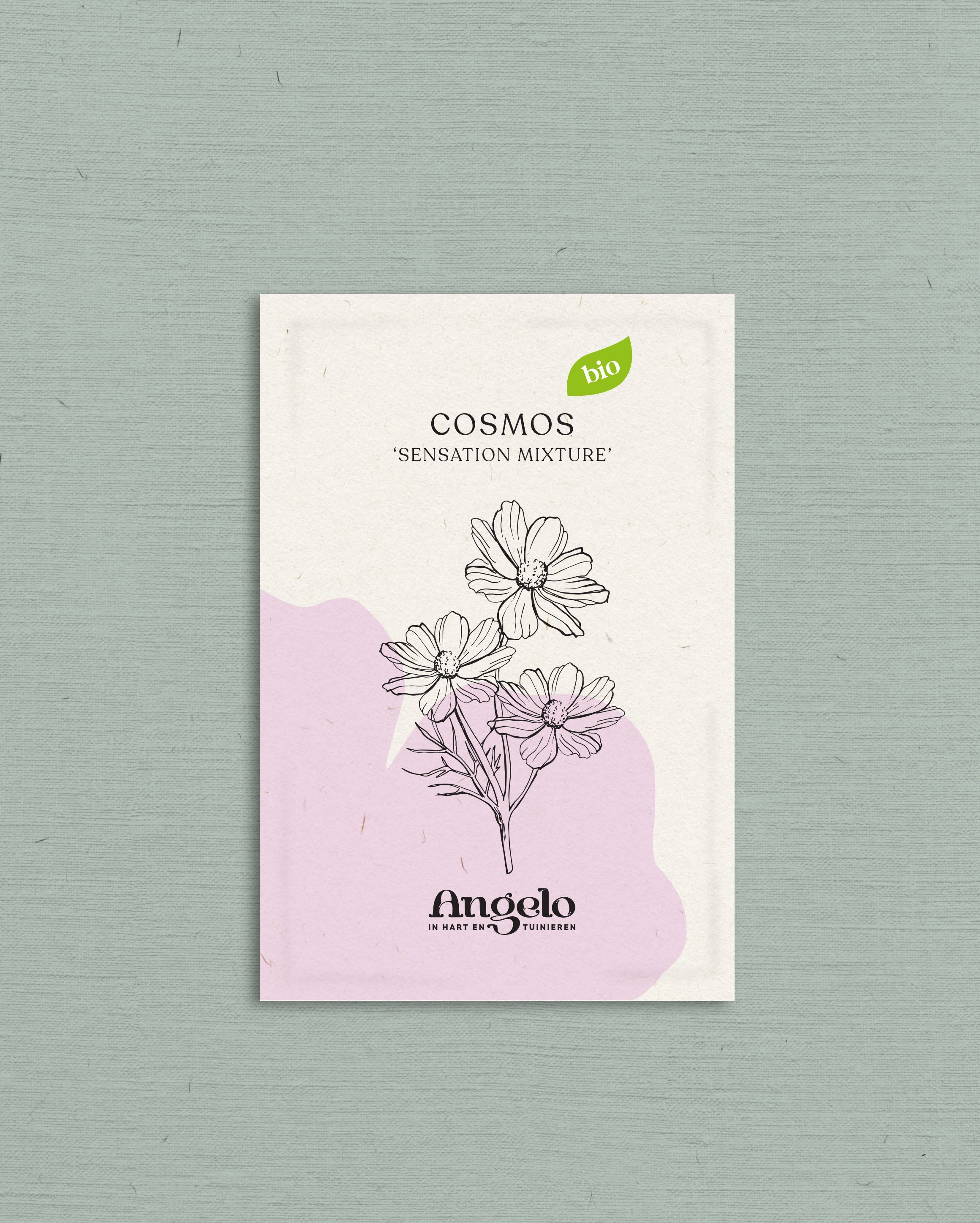 Cosmos bipinnatus 'Sensation Mixture'-Angelo
