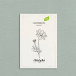 Cosmos bipinnatus 'White'-Angelo