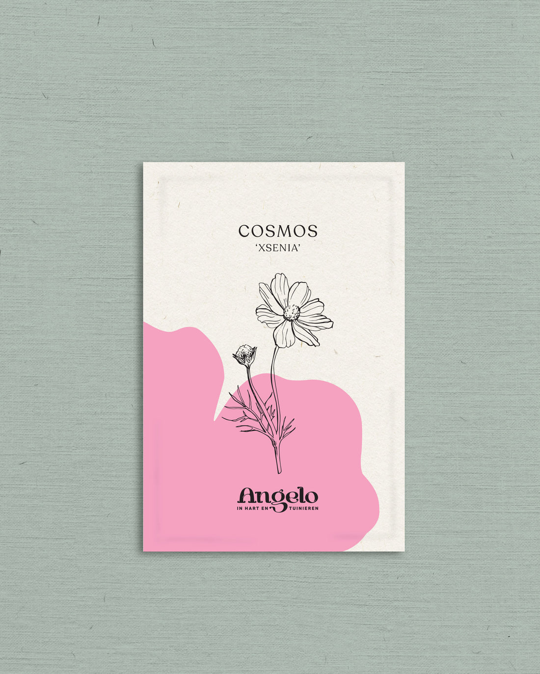 Cosmos bipinnatus &
