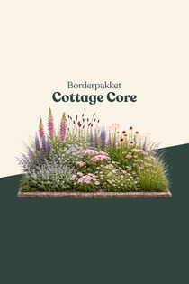 Borderpakket: cottage core-Angelo