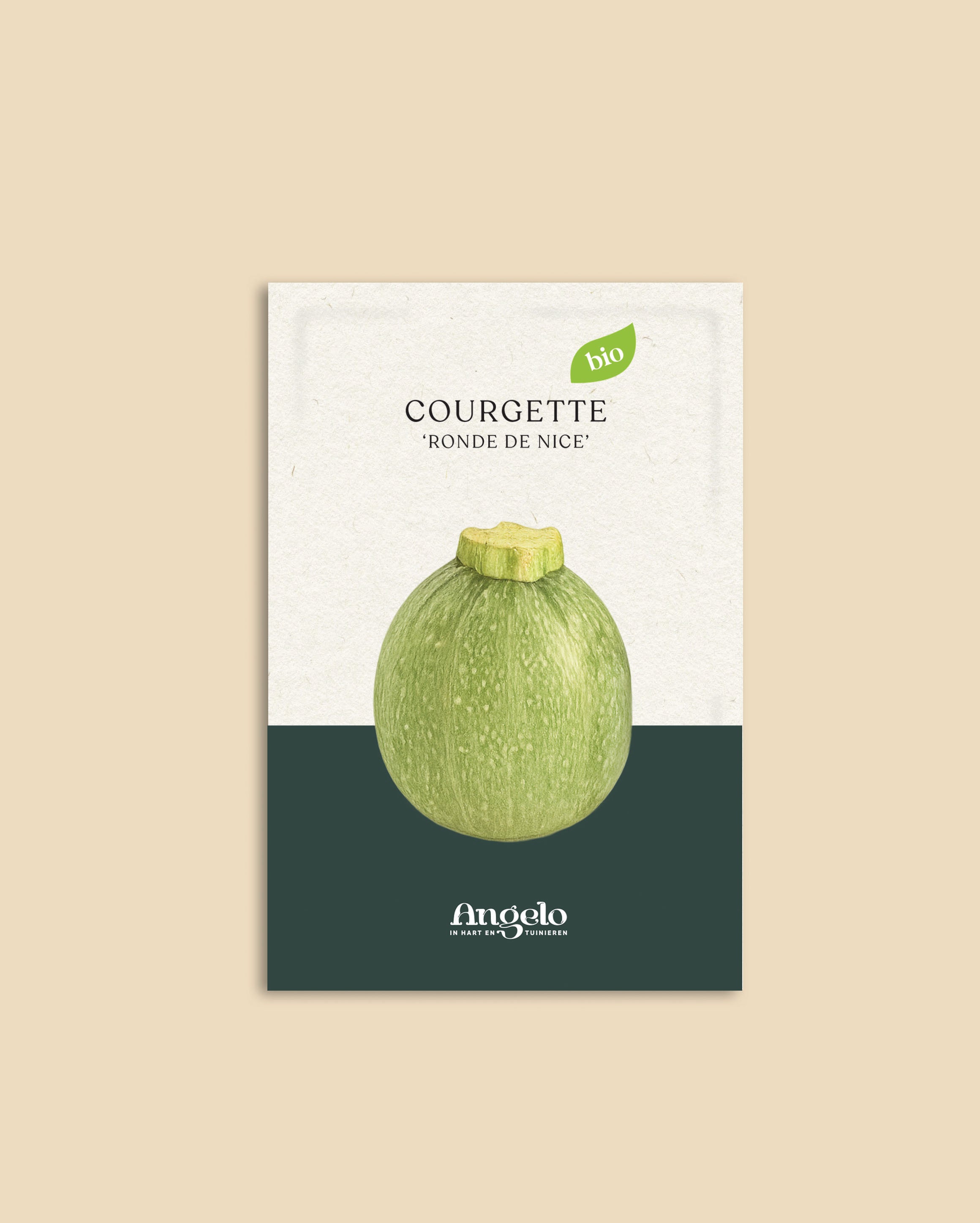 Courgette 'Ronde de Nice'-Angelo