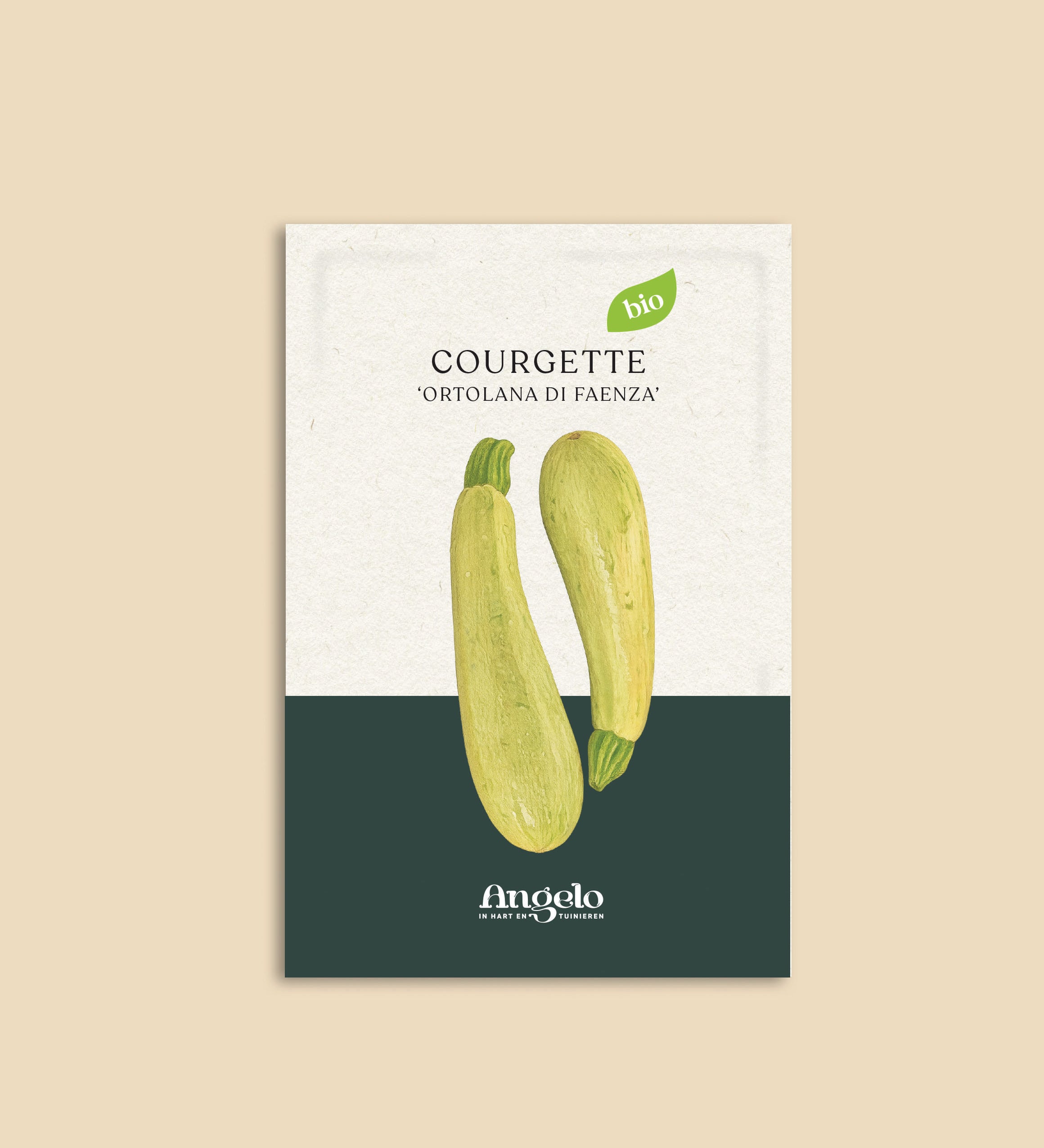 Courgette 'Ortolana Di Faenza'-Angelo