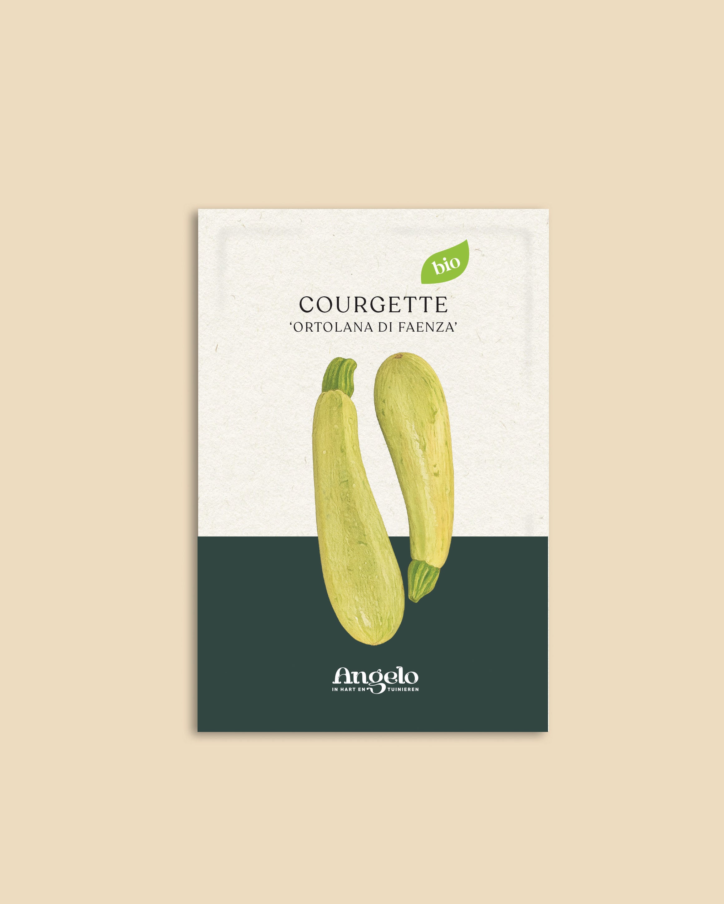 Courgette 'Ortolana Di Faenza'-Angelo