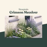 Stoeptuin: Crimson Meadow-Angelo