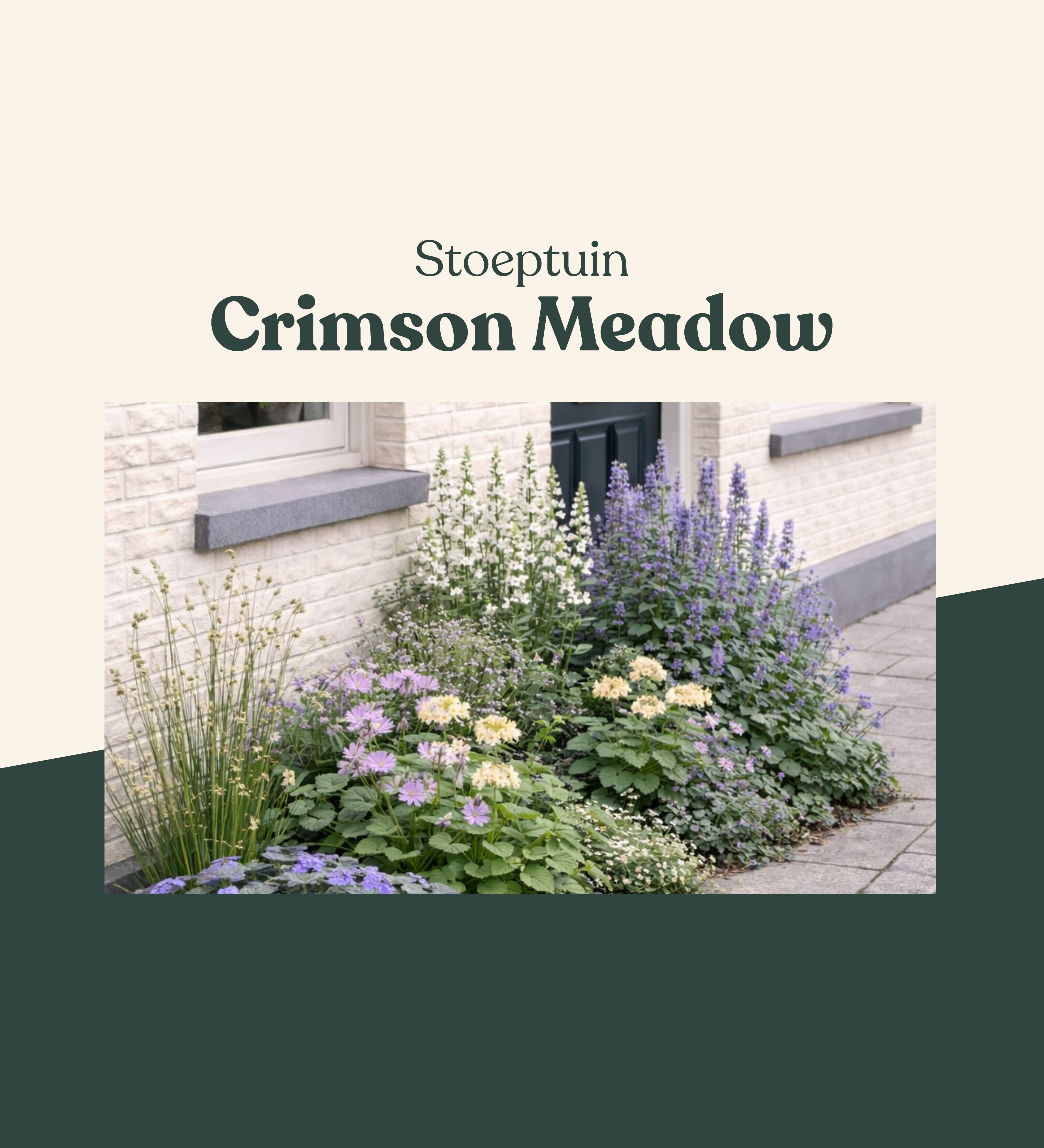 Stoeptuin: Crimson Meadow-Angelo
